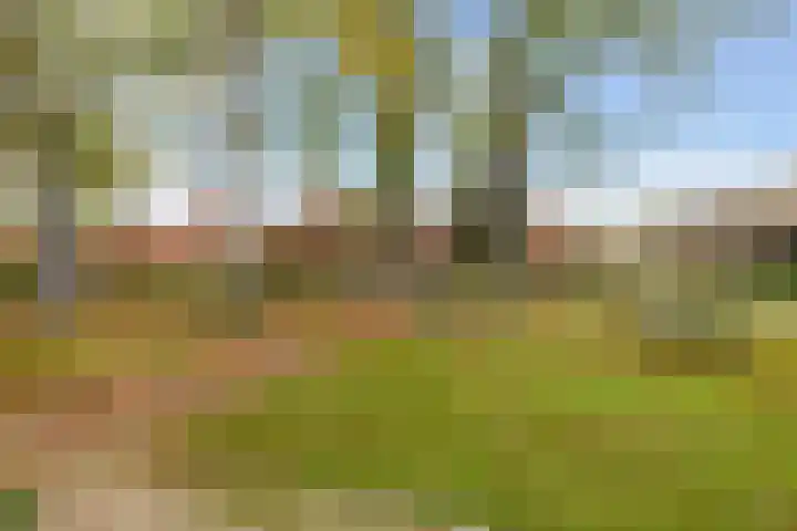 Hooge Riet 11 Ermelo thumbnail 50