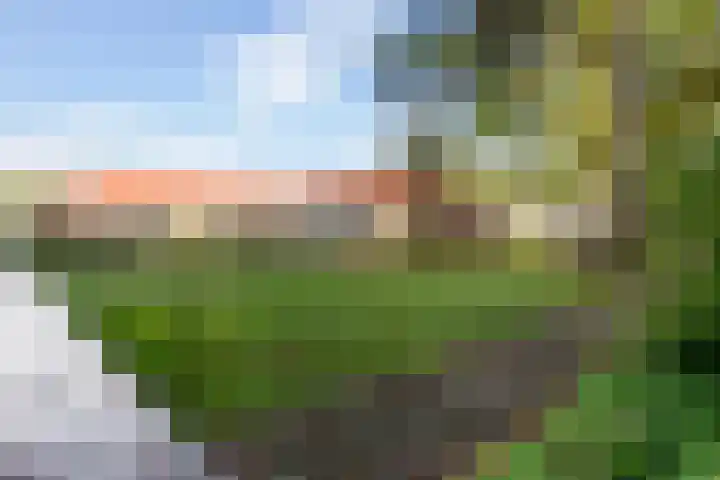 Hooge Riet 11 Ermelo thumbnail 51