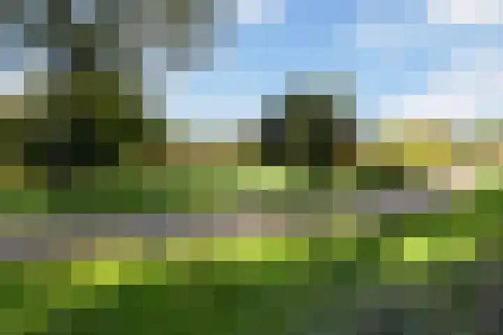 Hooge Riet 11 Ermelo thumbnail 52