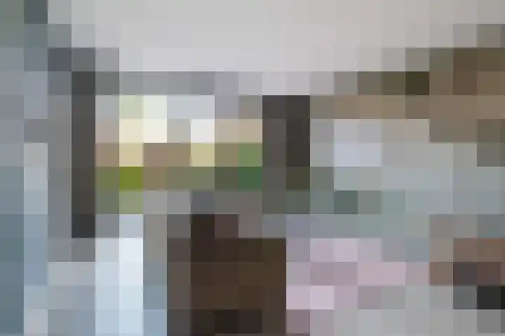 Hooge Riet 11 Ermelo thumbnail 7