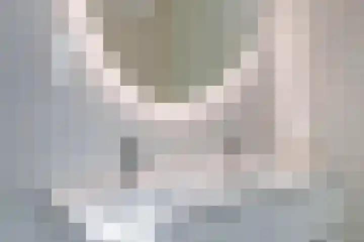 Hooge Riet 13 Ermelo thumbnail 32