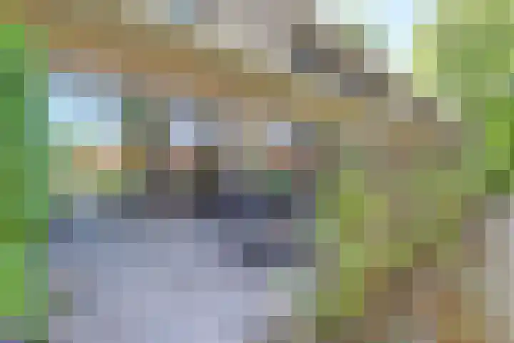 Hooge Riet 13 Ermelo thumbnail 34