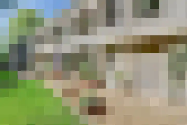 Hooge Riet 13 Ermelo thumbnail 39