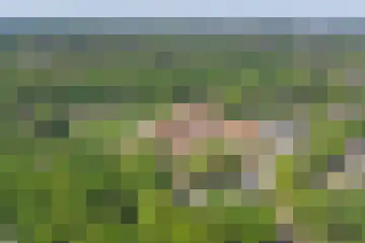 Hooge Riet 13 Ermelo thumbnail 42