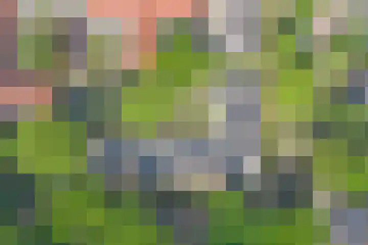Hooge Riet 13 Ermelo thumbnail 43