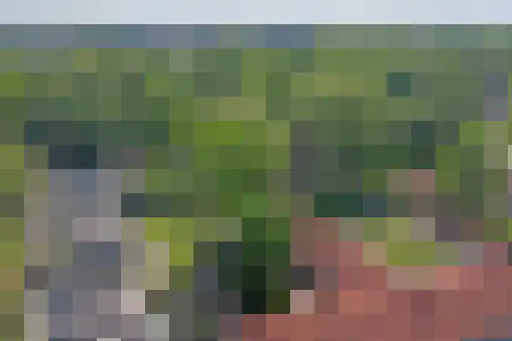 Hooge Riet 13 Ermelo thumbnail 46