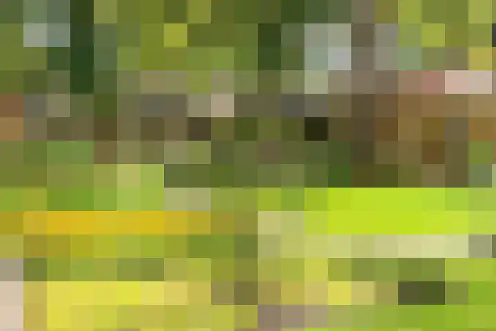 Hooge Riet 13 Ermelo thumbnail 49