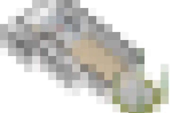 Hooge Riet 13 Ermelo thumbnail 55
