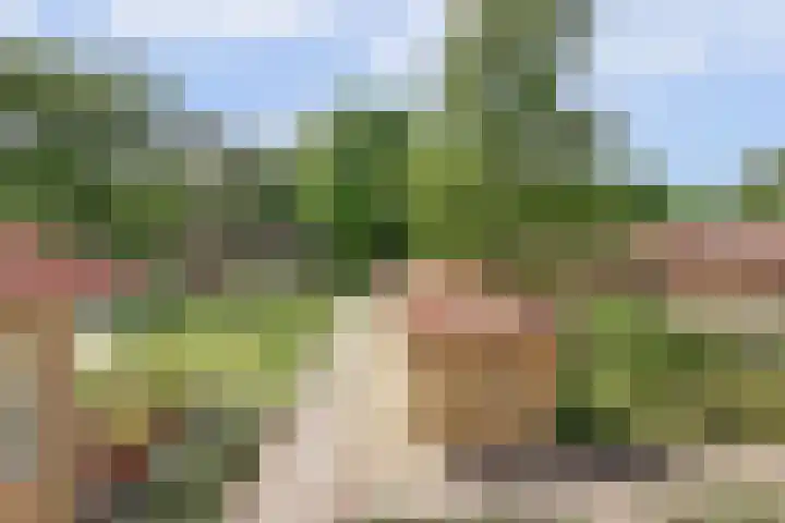 Hooge Riet 18 Ermelo thumbnail 33