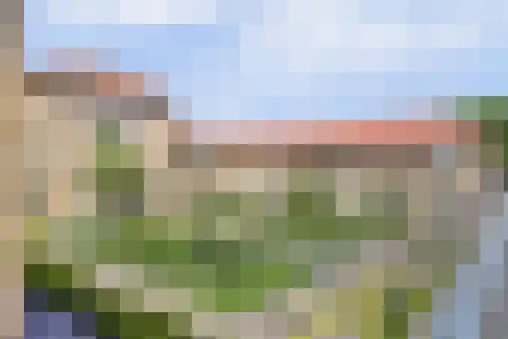 Hooge Riet 18 Ermelo thumbnail 34
