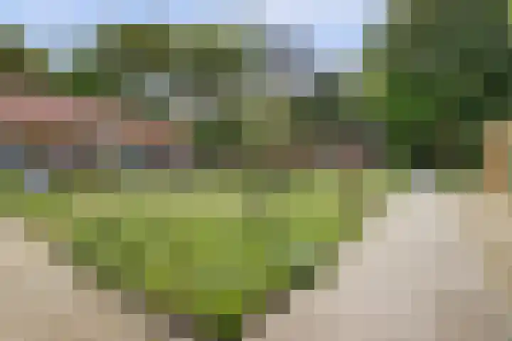 Hooge Riet 18 Ermelo thumbnail 35