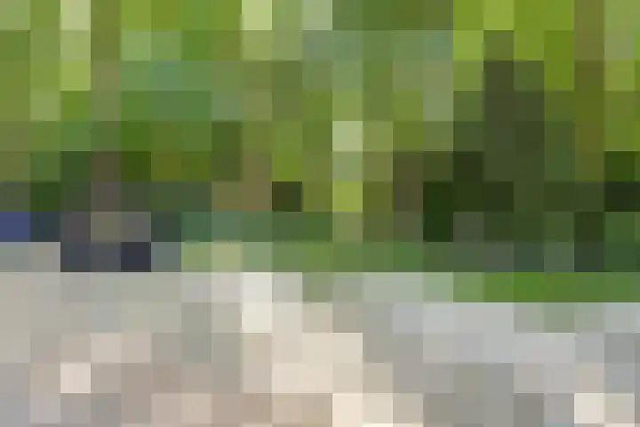 Hooge Riet 18 Ermelo thumbnail 38
