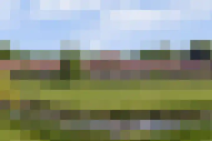 Hooge Riet 18 Ermelo thumbnail 39