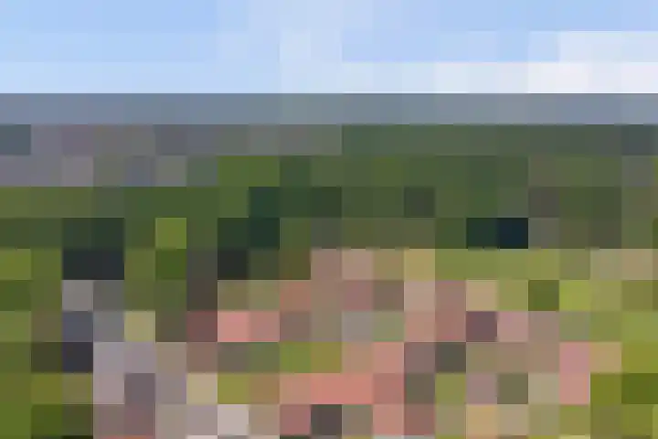Hooge Riet 18 Ermelo thumbnail 41