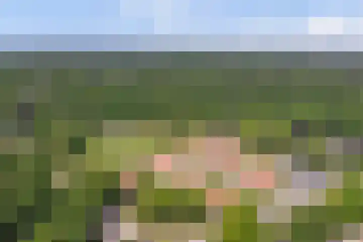 Hooge Riet 18 Ermelo thumbnail 42