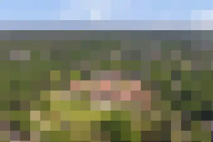 Hooge Riet 18 Ermelo thumbnail 43