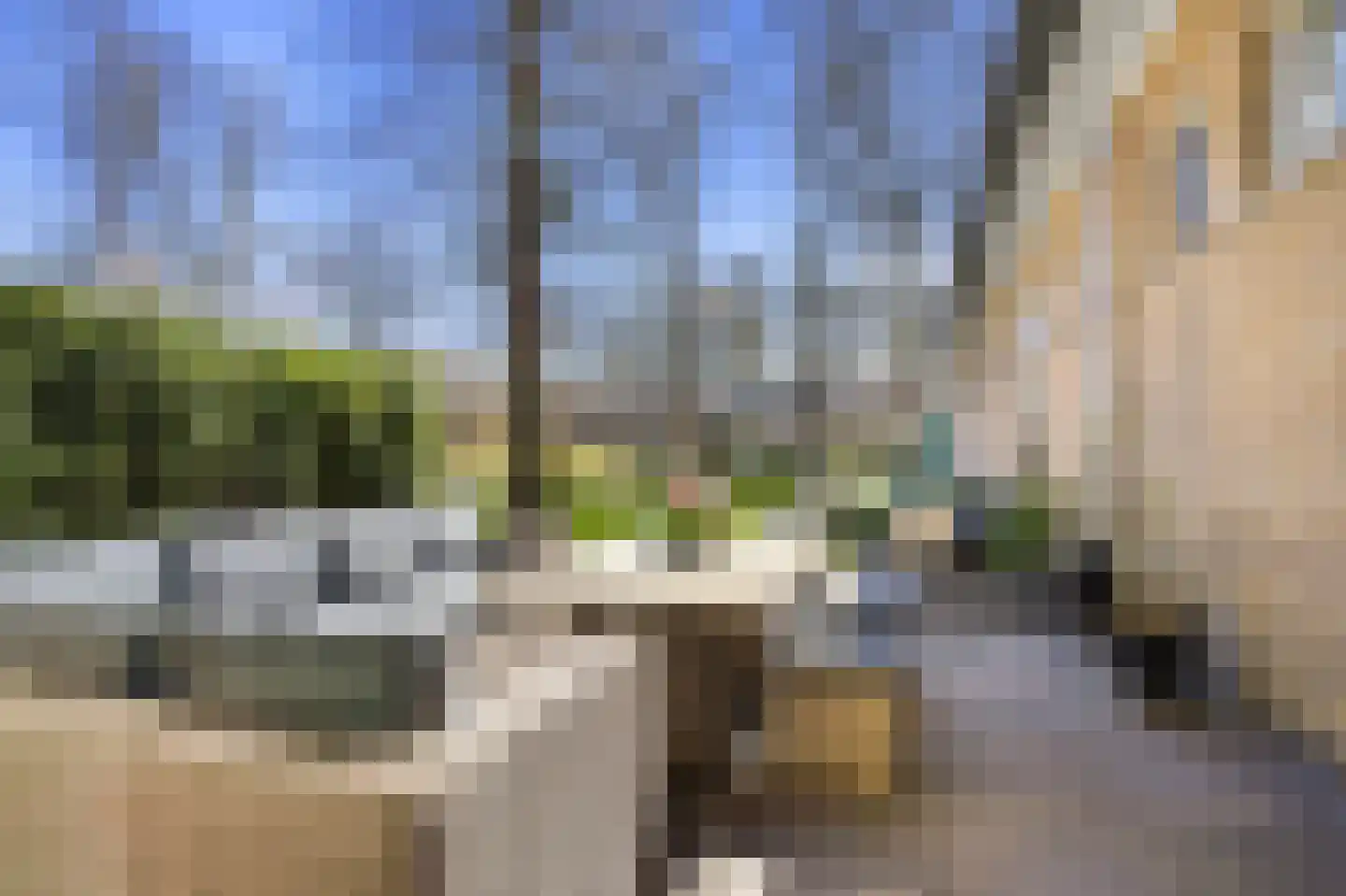 Hooge Riet 24 Ermelo thumbnail 28