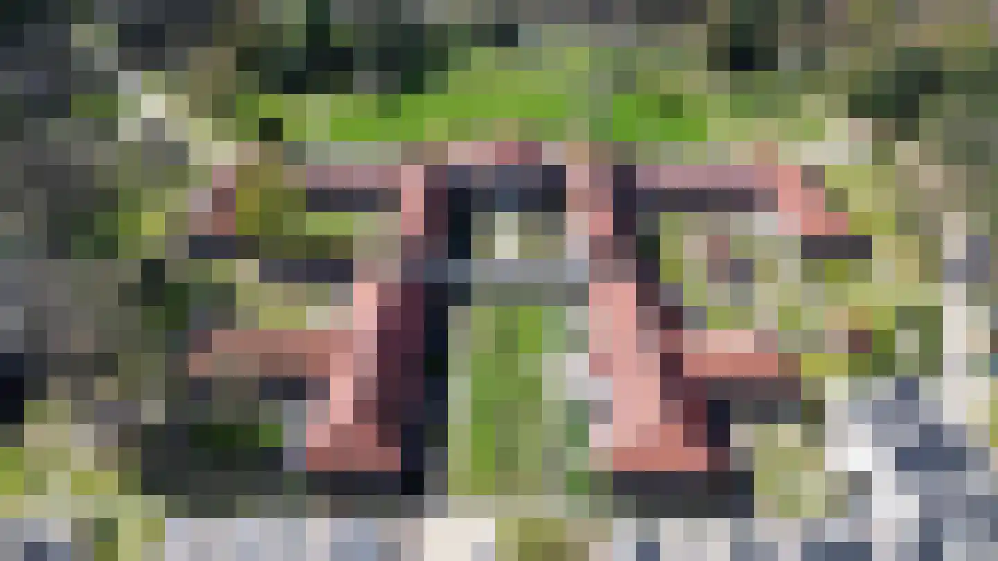 Hooge Riet 24 Ermelo thumbnail 30