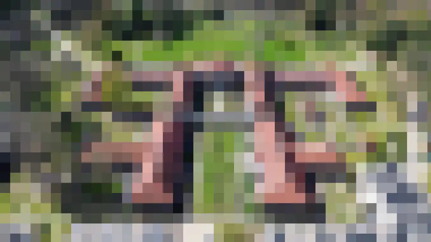 Hooge Riet 24 Ermelo thumbnail 32