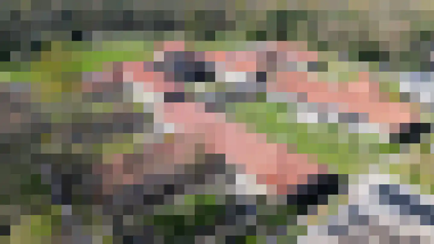 Hooge Riet 24 Ermelo thumbnail 34