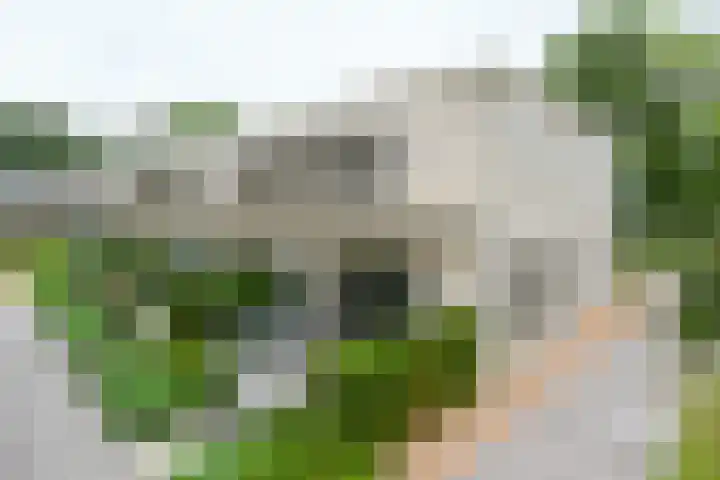 Hooge Riet 35 Ermelo thumbnail 27