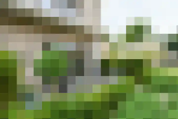 Hooge Riet 35 Ermelo thumbnail 28