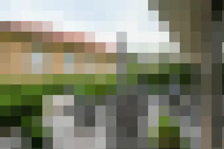 Hooge Riet 35 Ermelo thumbnail 29