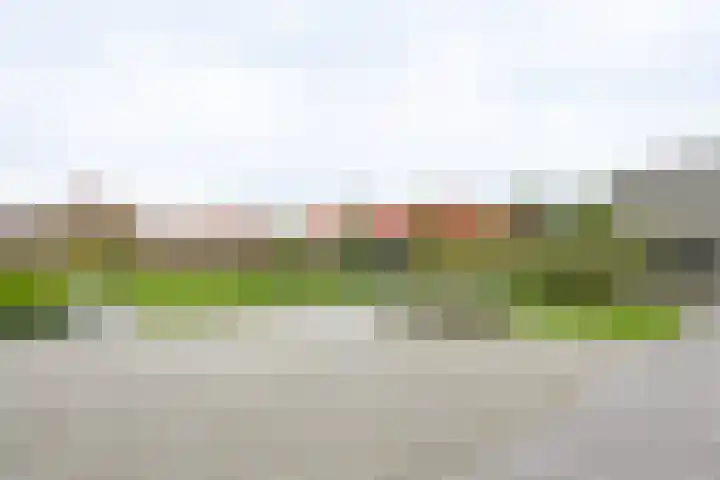 Hooge Riet 35 Ermelo thumbnail 30