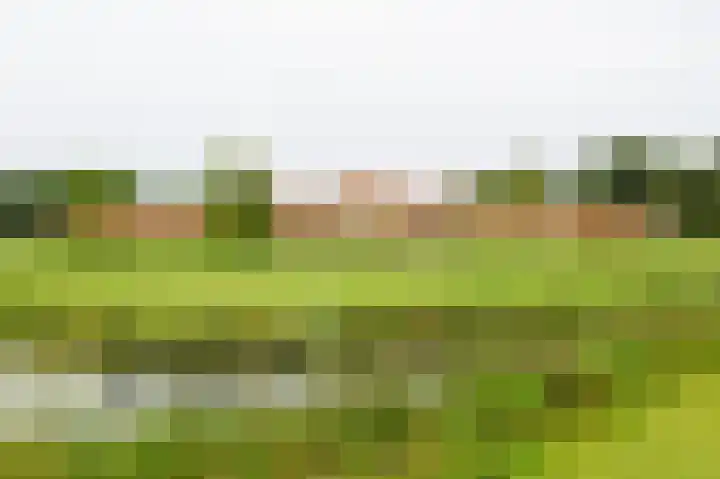 Hooge Riet 35 Ermelo thumbnail 32