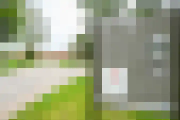 Hooge Riet 35 Ermelo thumbnail 33