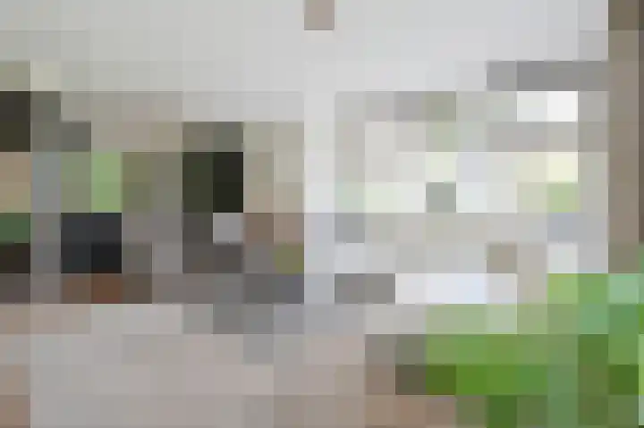 Hooge Riet 35 Ermelo thumbnail 4