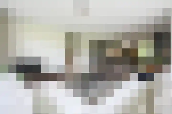 Hooge Riet 35 Ermelo thumbnail 7