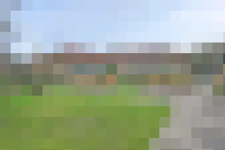 Hooge Riet 44 Ermelo thumbnail 22