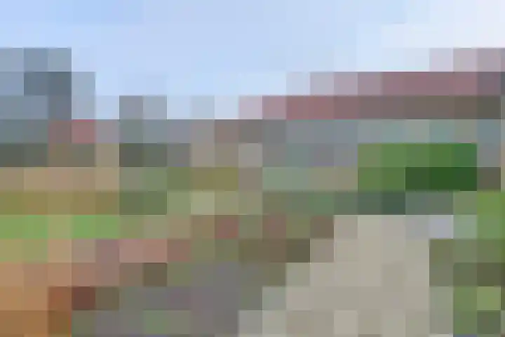 Hooge Riet 44 Ermelo thumbnail 23