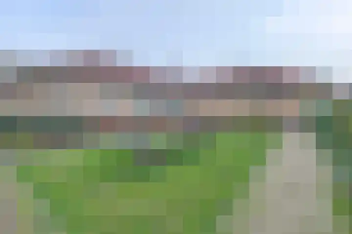Hooge Riet 44 Ermelo thumbnail 25