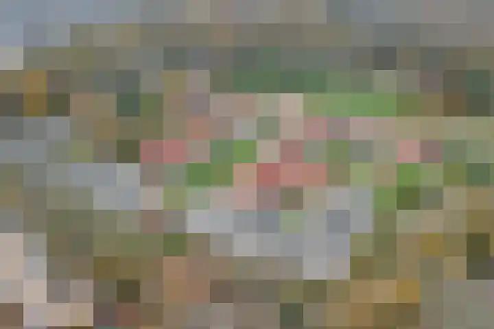 Hooge Riet 44 Ermelo thumbnail 29