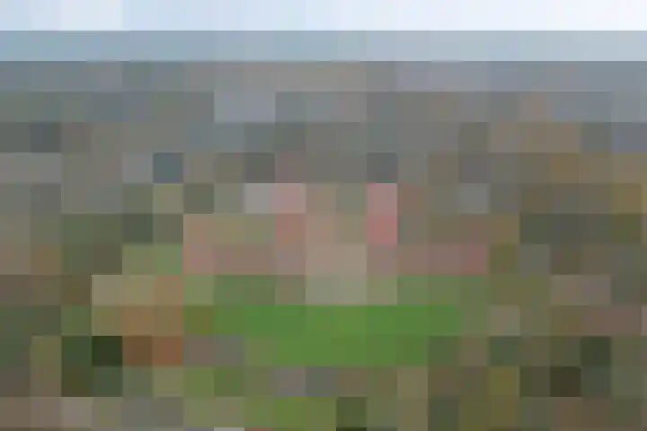 Hooge Riet 44 Ermelo thumbnail 31