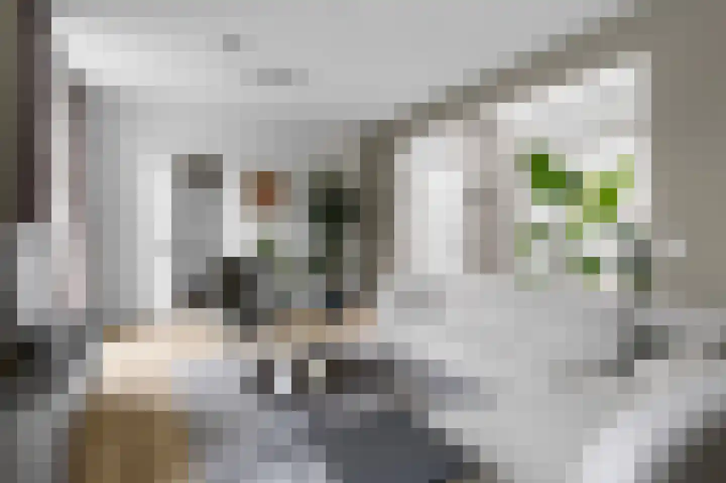 Hooge Riet 50 Ermelo thumbnail 12