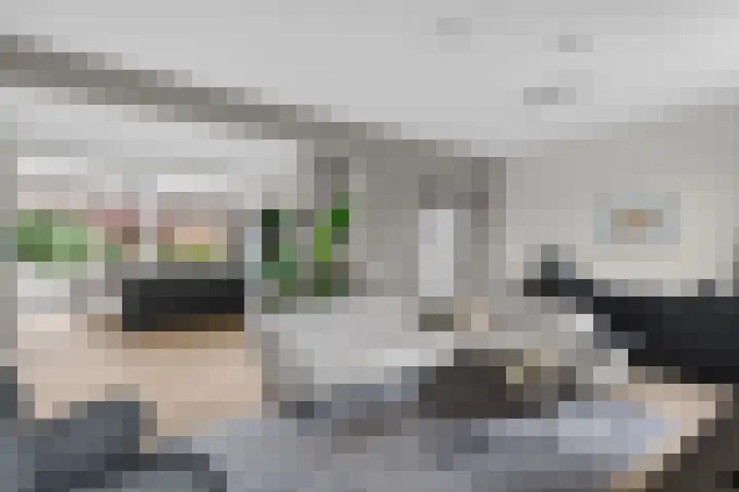 Hooge Riet 50 Ermelo thumbnail 13