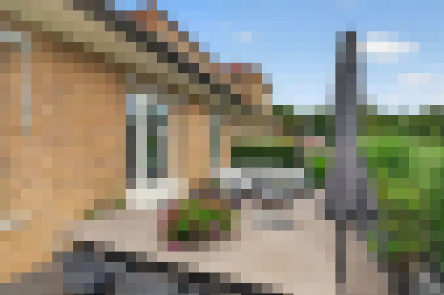 Hooge Riet 50 Ermelo thumbnail 36