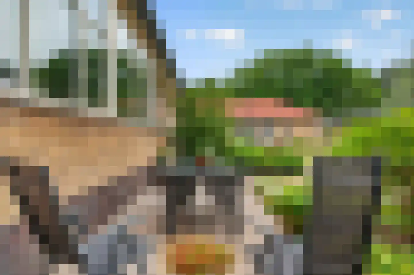 Hooge Riet 50 Ermelo thumbnail 41