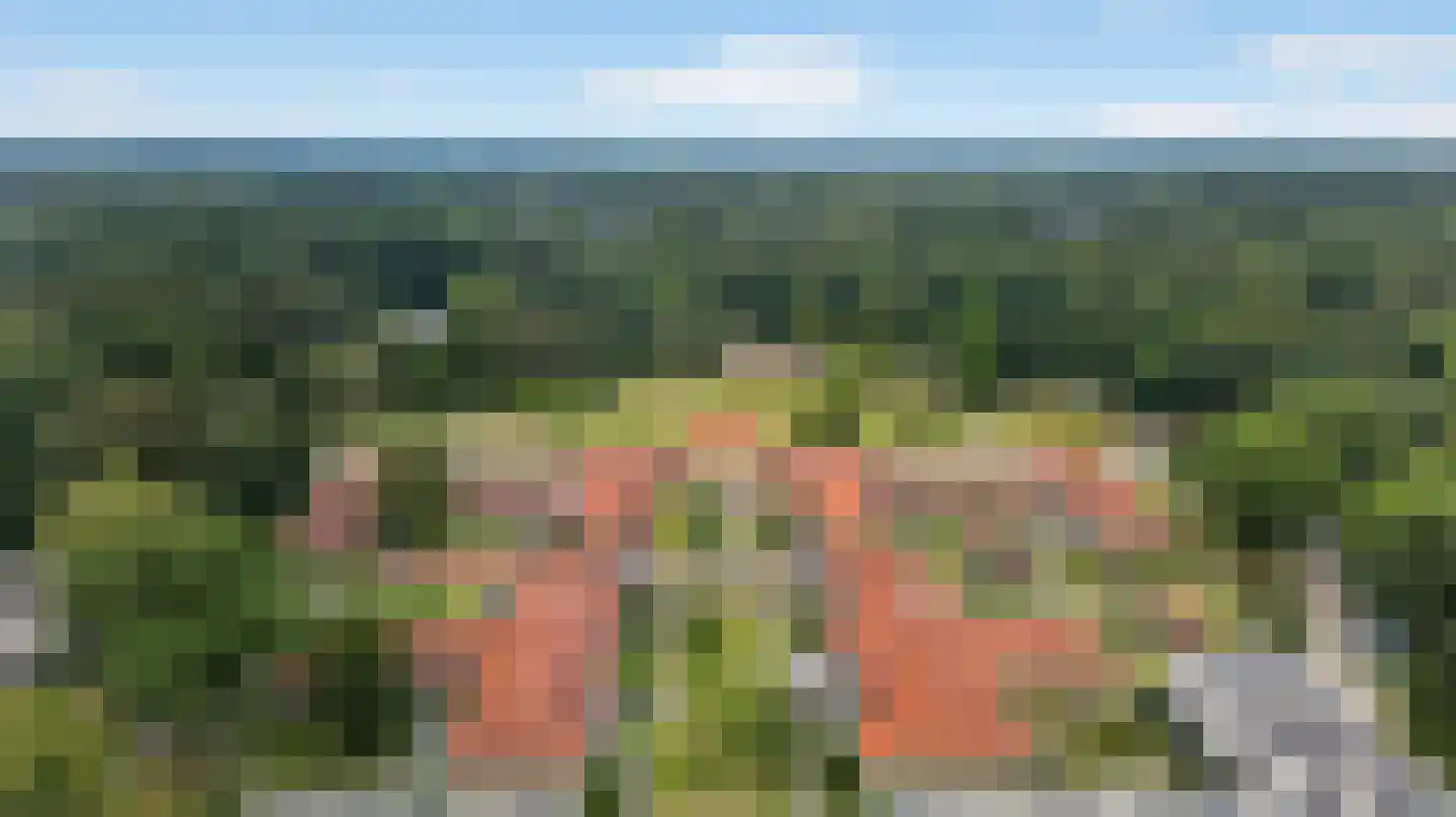Hooge Riet 50 Ermelo thumbnail 56