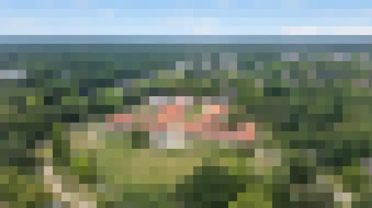 Hooge Riet 50 Ermelo thumbnail 58