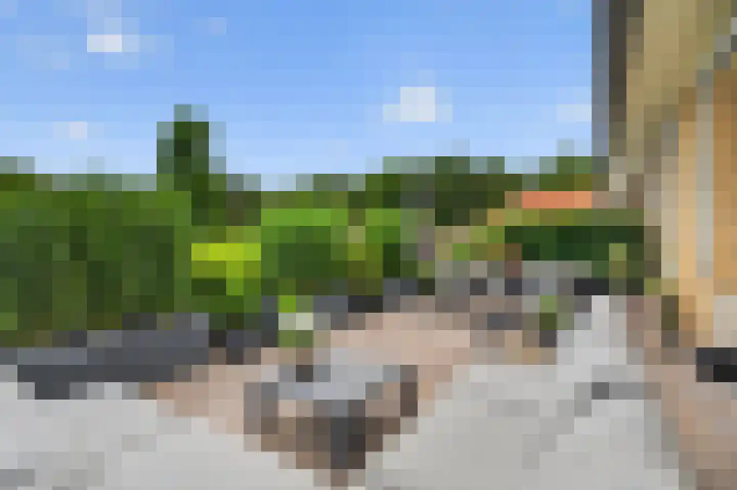 Hooge Riet 50 Ermelo thumbnail 7