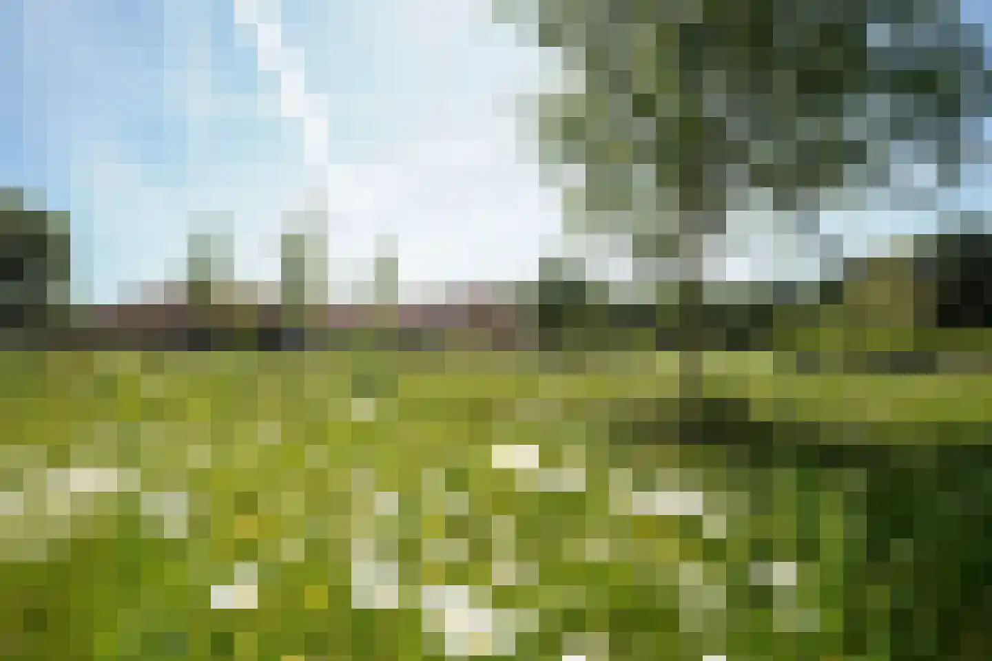 Hooge Riet 60 Ermelo foto 2