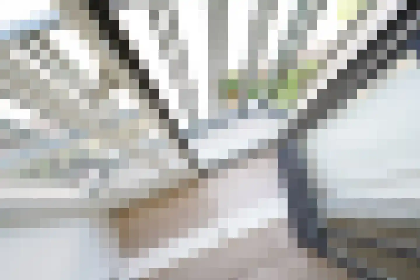 Hooge Riet 60 Ermelo thumbnail 30