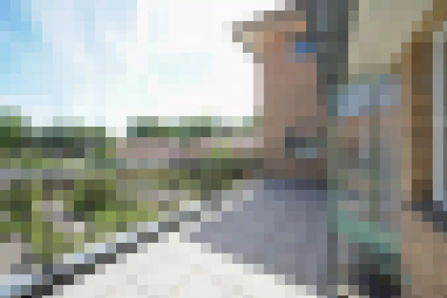Hooge Riet 60 Ermelo thumbnail 39