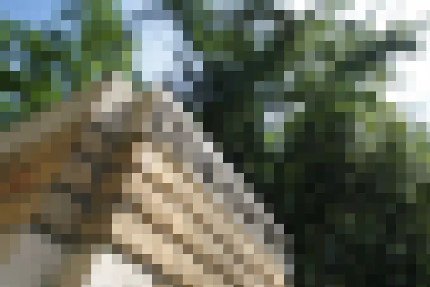Hooge Riet 60 Ermelo thumbnail 4