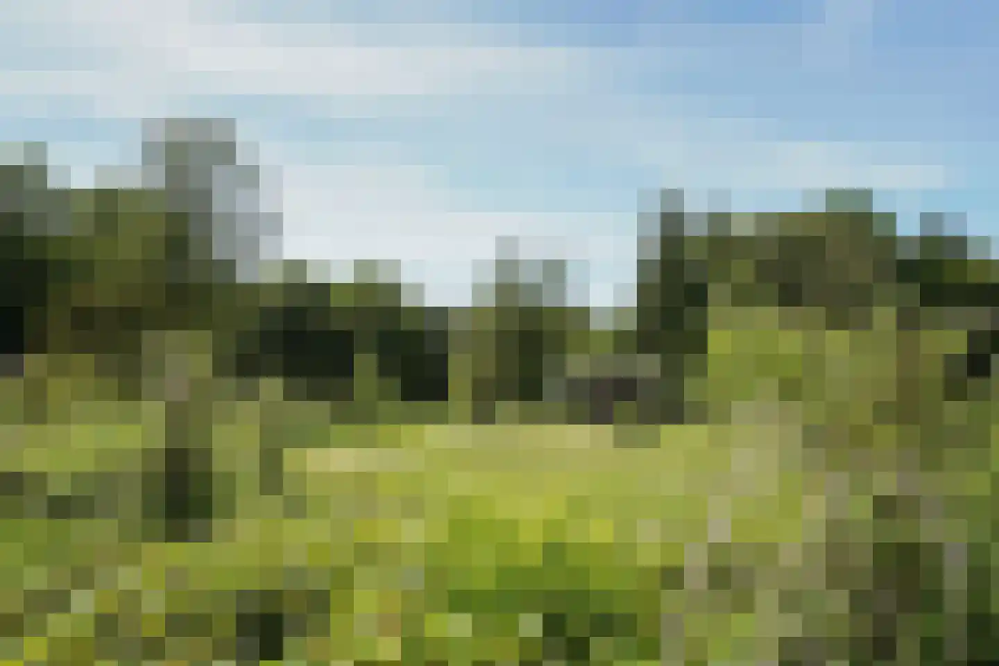 Hooge Riet 60 Ermelo thumbnail 5