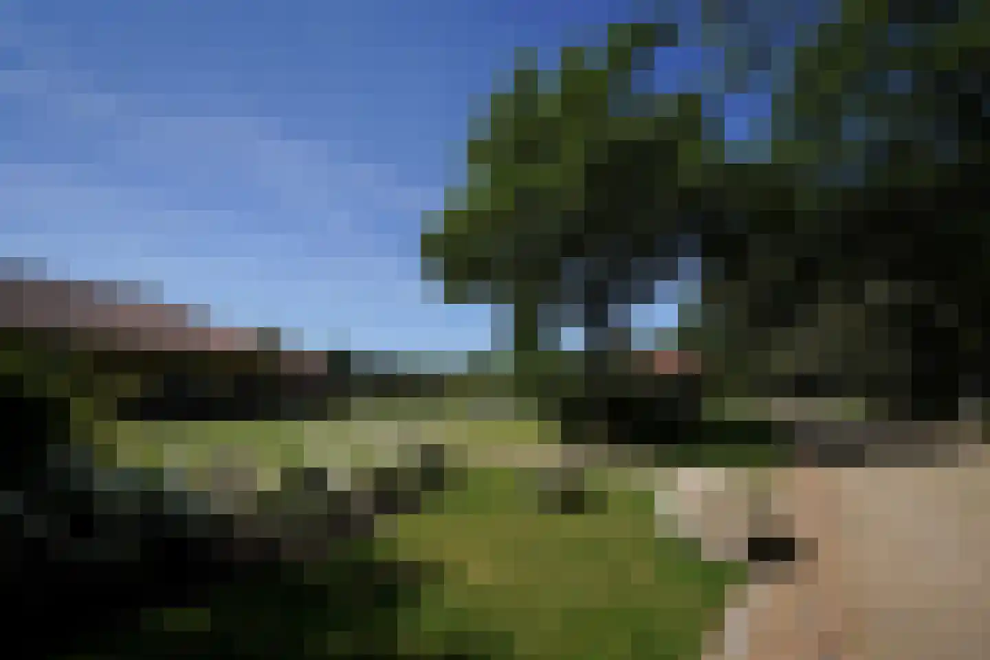 Hooge Riet 60 Ermelo thumbnail 71